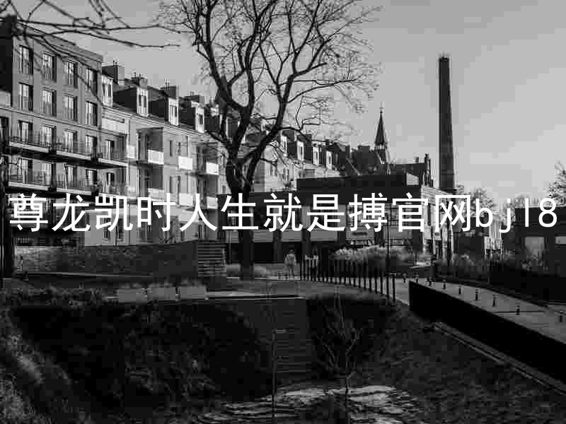 尊龙凯时人生就是搏官网bjl8